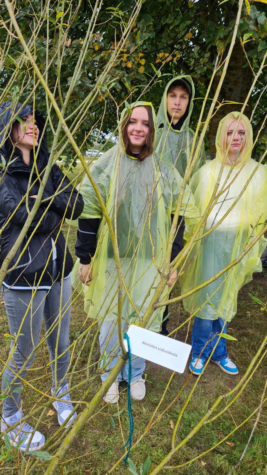 11.klase piedalās Laimes dārza stādīšanā Zīlānos