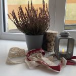 Patriotiskā pilsonības nedēļa novembrī